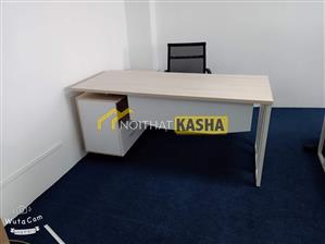 Bàn trưởng phòng chân sắt lưới BTP29