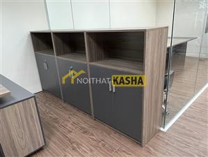 Tủ hồ sơ 2 cánh cửa mở TK420